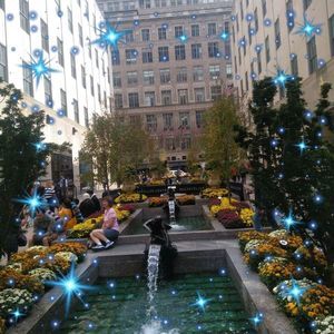 Meet your Posher, Nathaniel mia